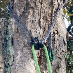 Longe d'Ancrage Mobile & Réglable | Treering-Adjust Lift