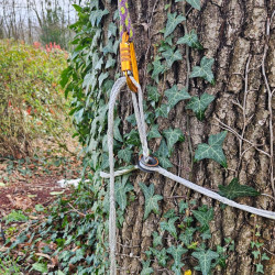 Fausse Fourche & Sangle d’Ancrage | Treering-Segment Lift