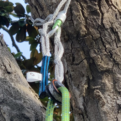 Dyneema® Cambium saver - Treering-Segment® | Nodusfactory-Industry